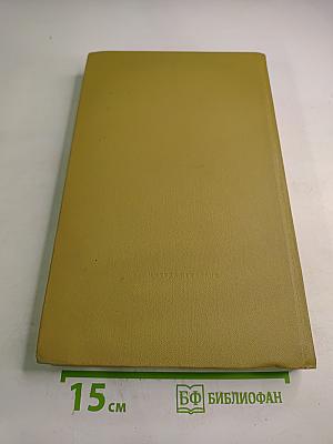 Дон Кихот Ламанчский. Часть вторая