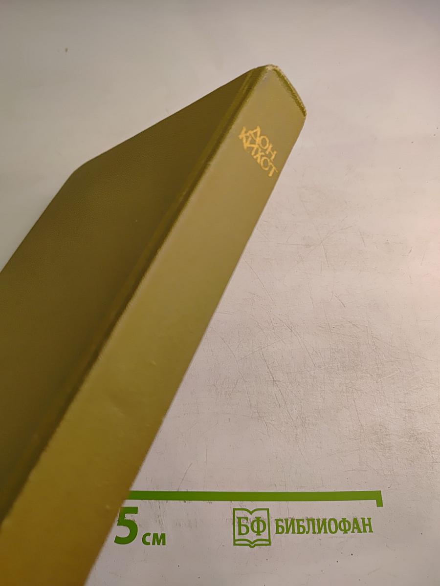 Дон Кихот Ламанчский. Часть вторая