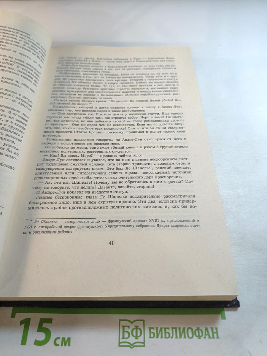 Собрание сочинений. Том третий: Скарамуш, Каролинец