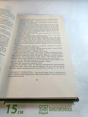 Собрание сочинений. Том третий: Скарамуш, Каролинец