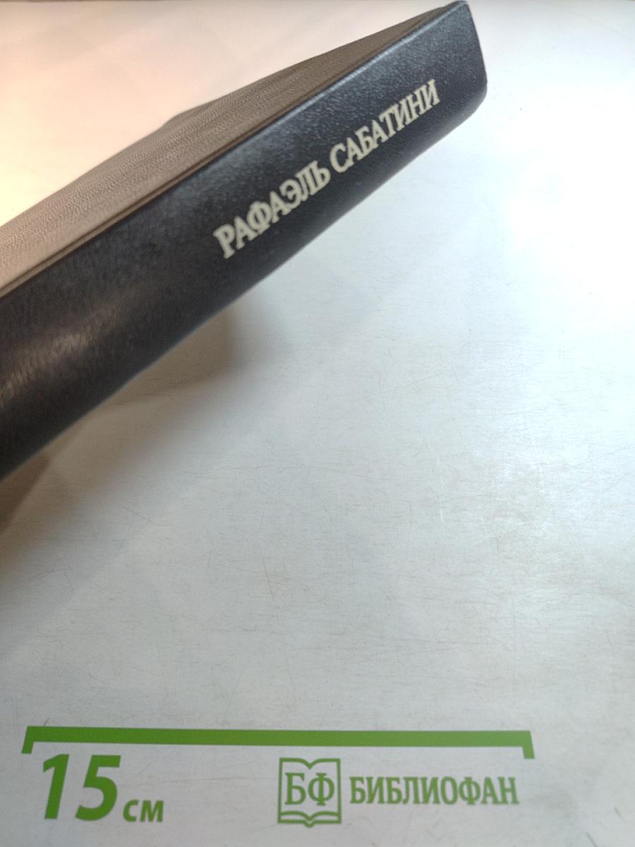 Собрание сочинений. Том третий: Скарамуш, Каролинец