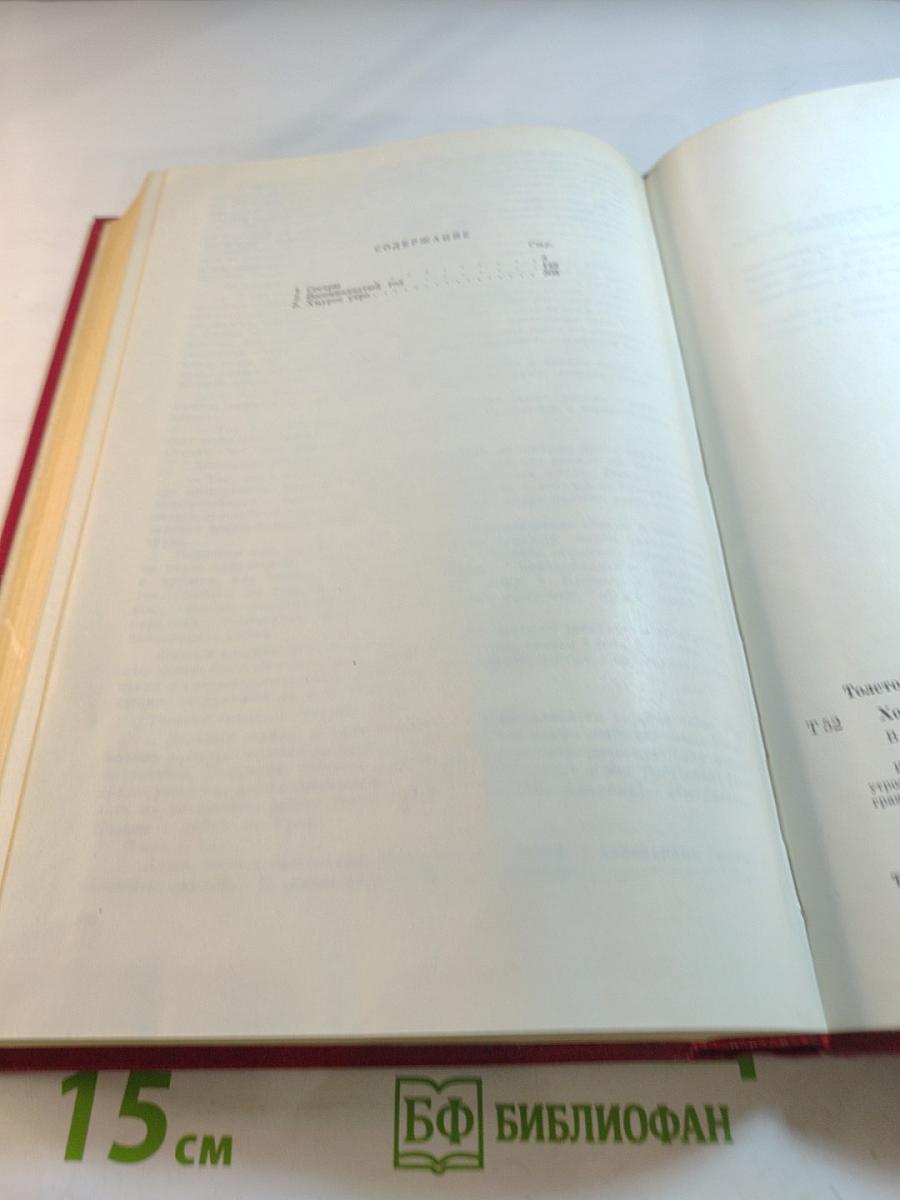 Хождение по мукам