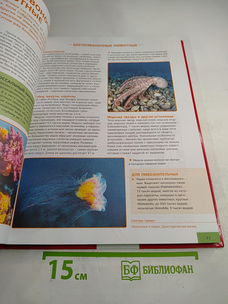 Иллюстрированная энциклопедия школьника