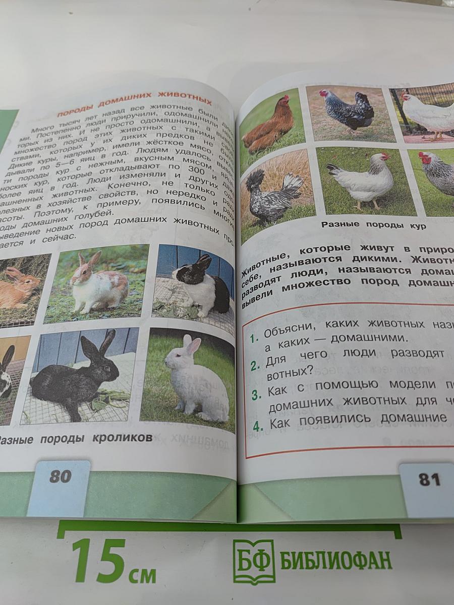 Окружающий мир 2 класс Часть 1