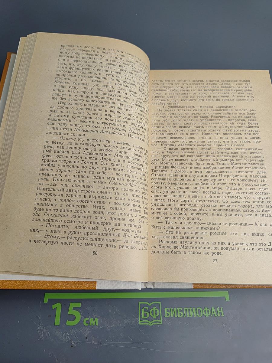 Дон Кихот Ламанчский. Часть первая