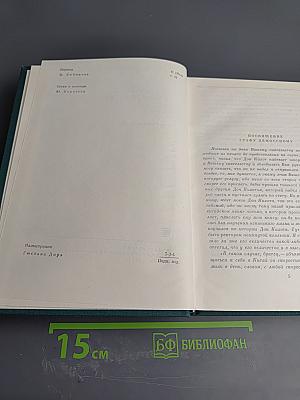 Хитроумный идальго Дон Кихот Ламанчский. Часть вторая