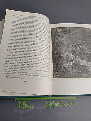 Хитроумный идальго Дон Кихот Ламанчский. Часть вторая