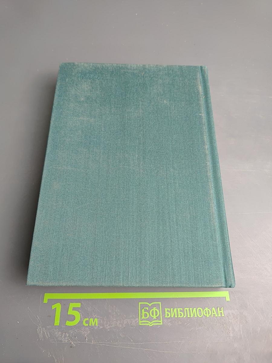 Хитроумный идальго Дон Кихот Ламанчский. Часть вторая