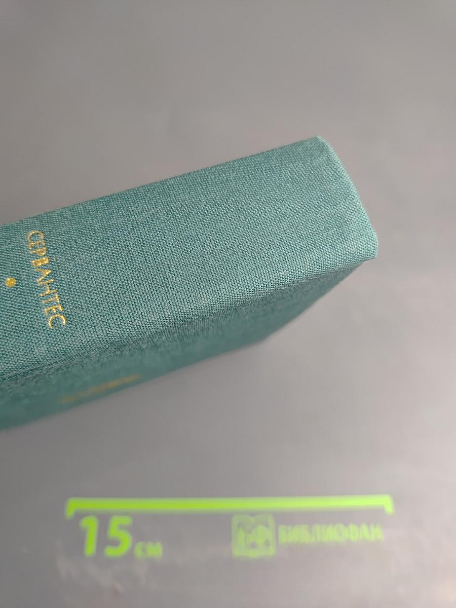 Хитроумный идальго Дон Кихот Ламанчский. Часть вторая