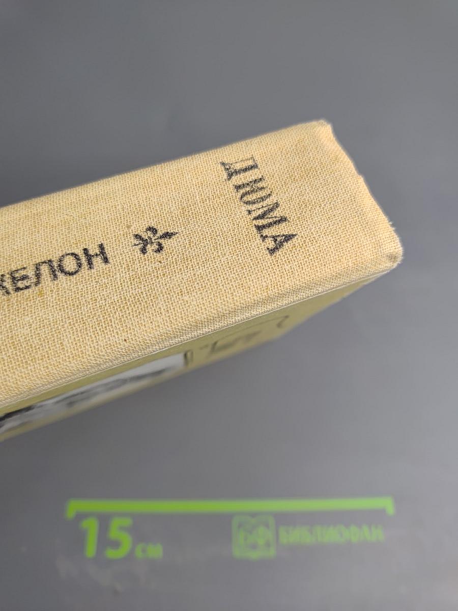 Виконт де Бражелон или Десять лет спустя. Части 3, 4