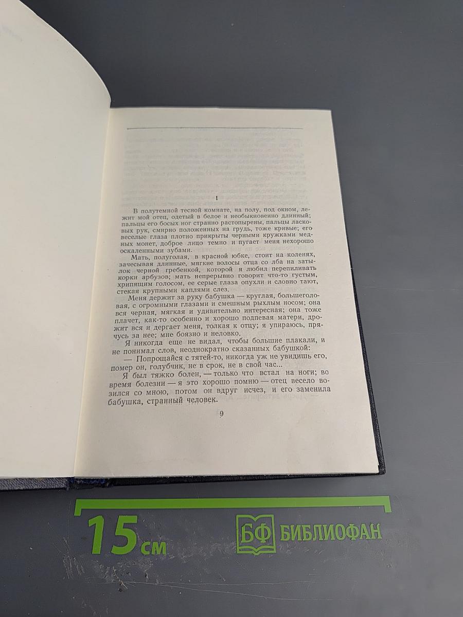 Сочинения. Том 13. Повести 1913–1923
