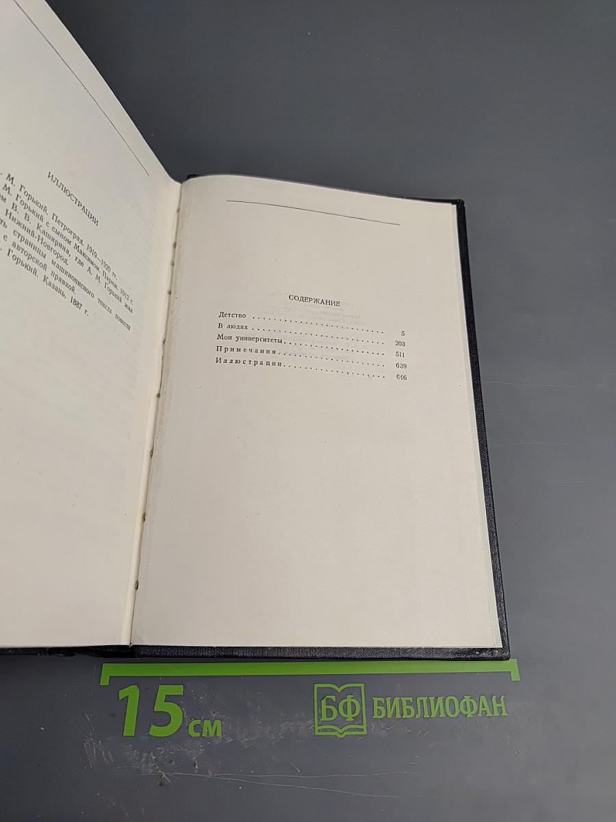 Сочинения. Том 13. Повести 1913–1923