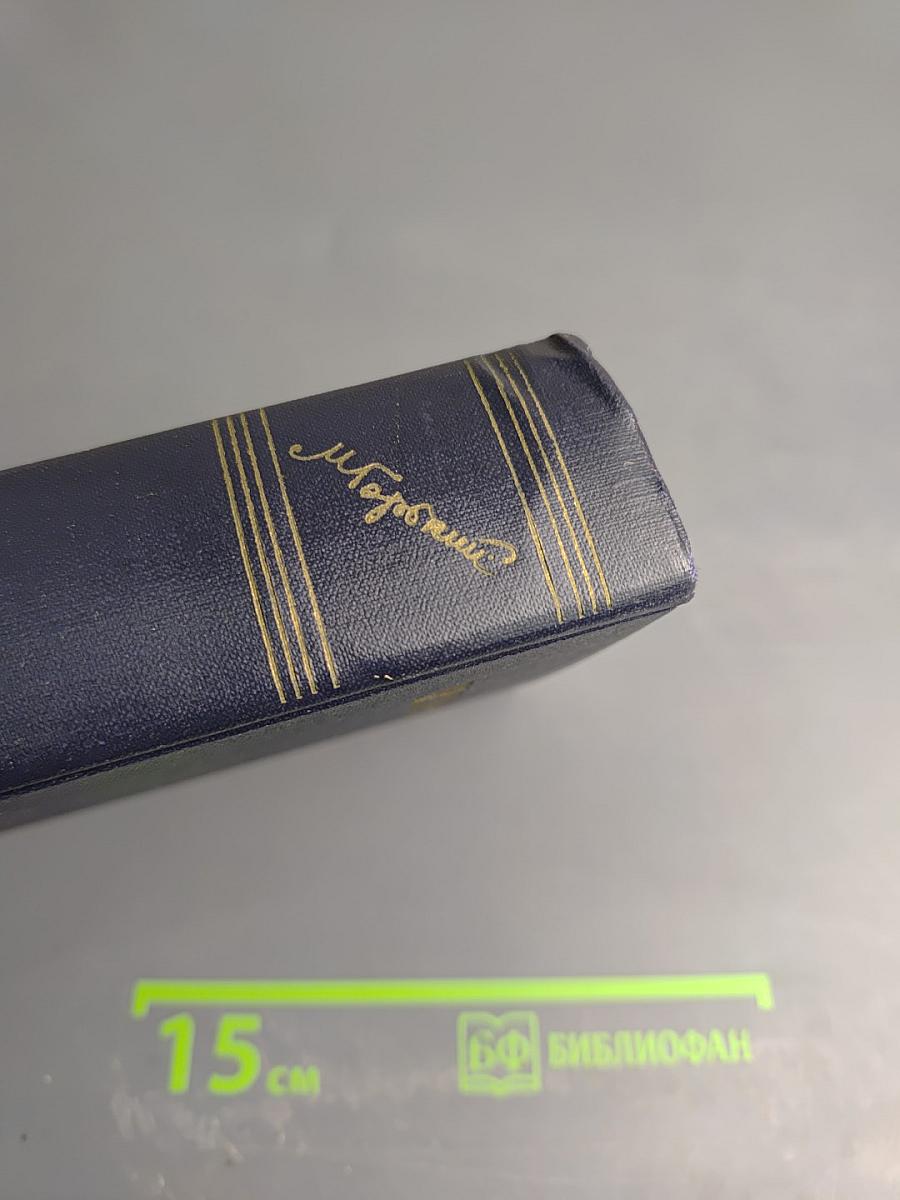 Сочинения. Том 13. Повести 1913–1923