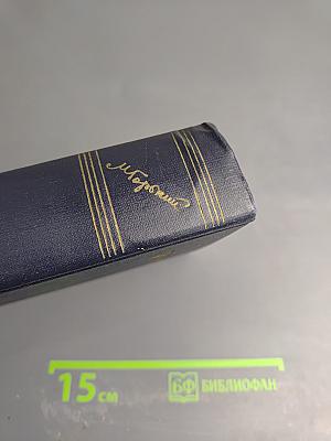 Сочинения. Том 13. Повести 1913–1923