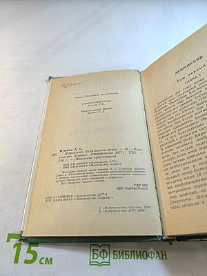 Дубровский. Капитанская дочка