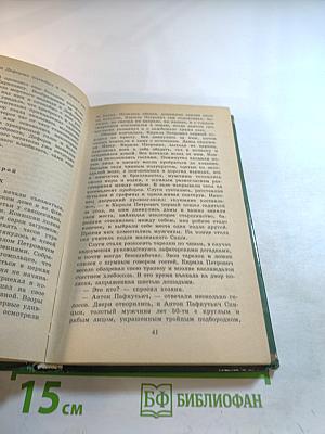 Дубровский. Капитанская дочка