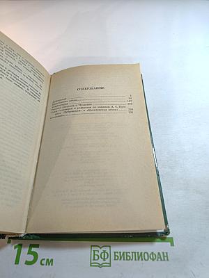 Дубровский. Капитанская дочка