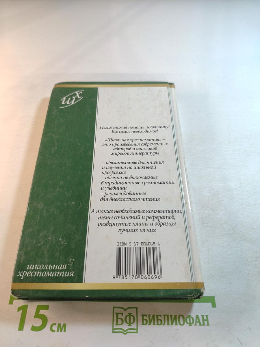 Дубровский. Капитанская дочка