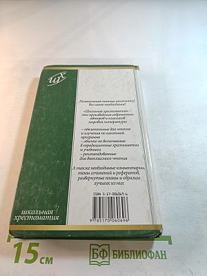 Дубровский. Капитанская дочка