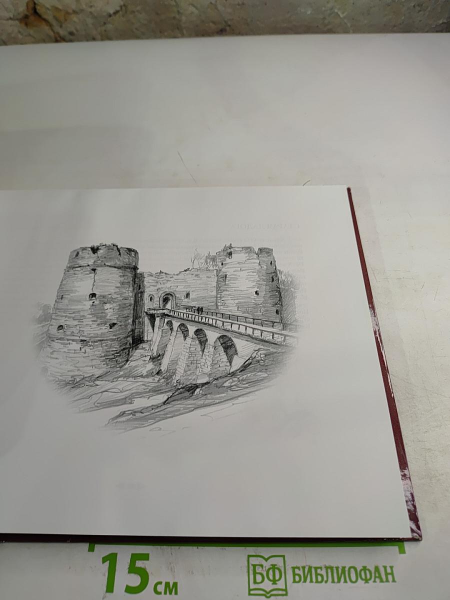 Святая Русь с нами. Ленинградская область