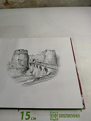 Святая Русь с нами. Ленинградская область