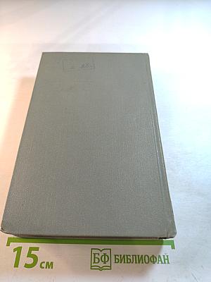 Собрание сочинений. Том одиннадцатый. Письма 1877-1892