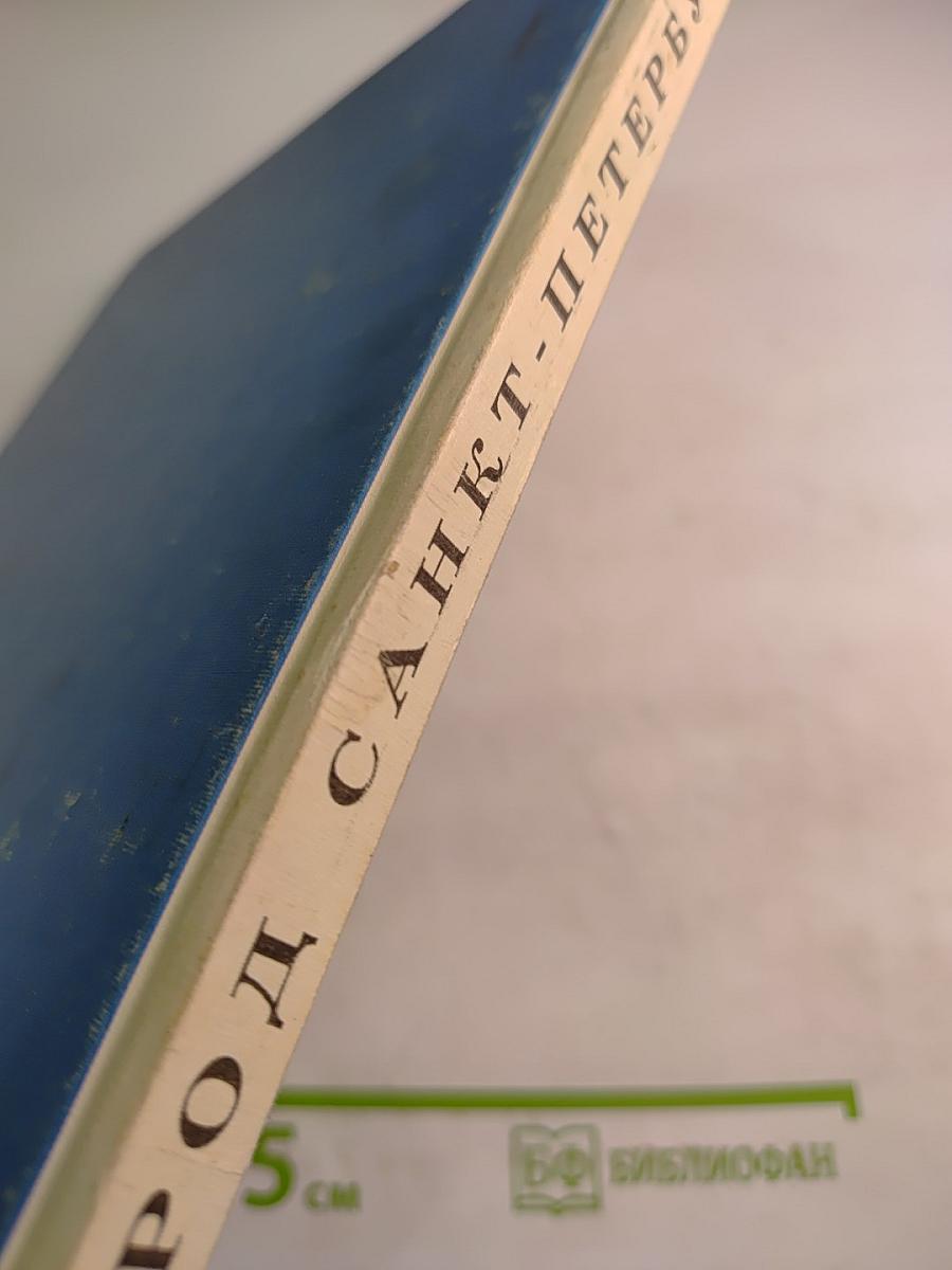 Наш город Санкт-Петербург. Путешествие с Архивариусом через три столетия. Книга для семейного чтения