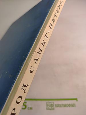 Наш город Санкт-Петербург. Путешествие с Архивариусом через три столетия. Книга для семейного чтения