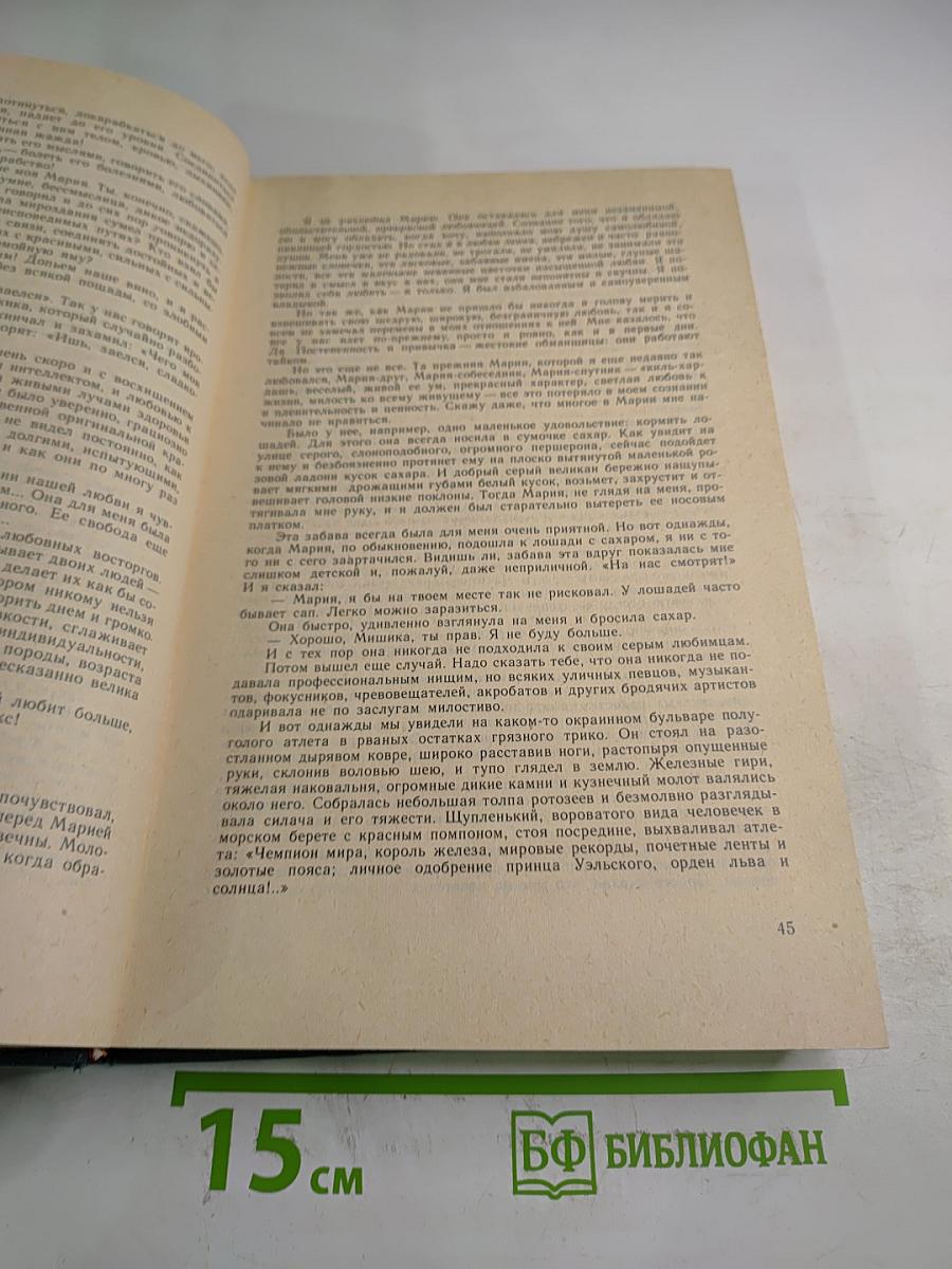 Сочинения в двух томах. Том 2. Романы. Рассказы