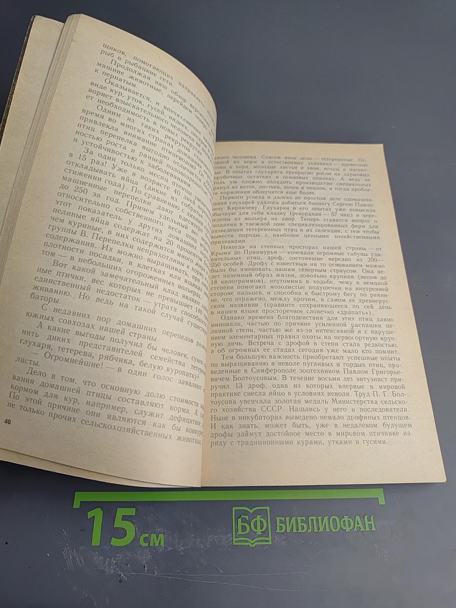 Братья меньшие вчера и сегодня