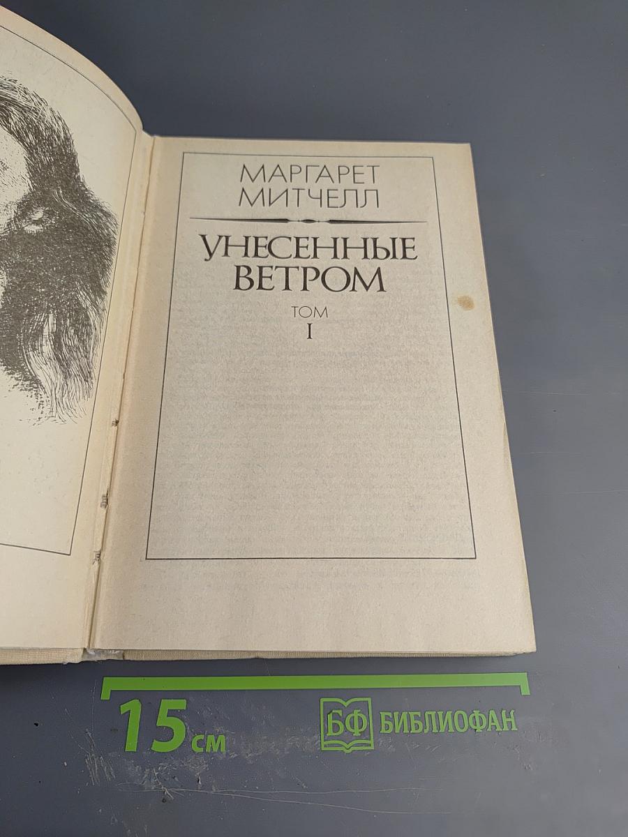 Унесенные ветром. Том 1