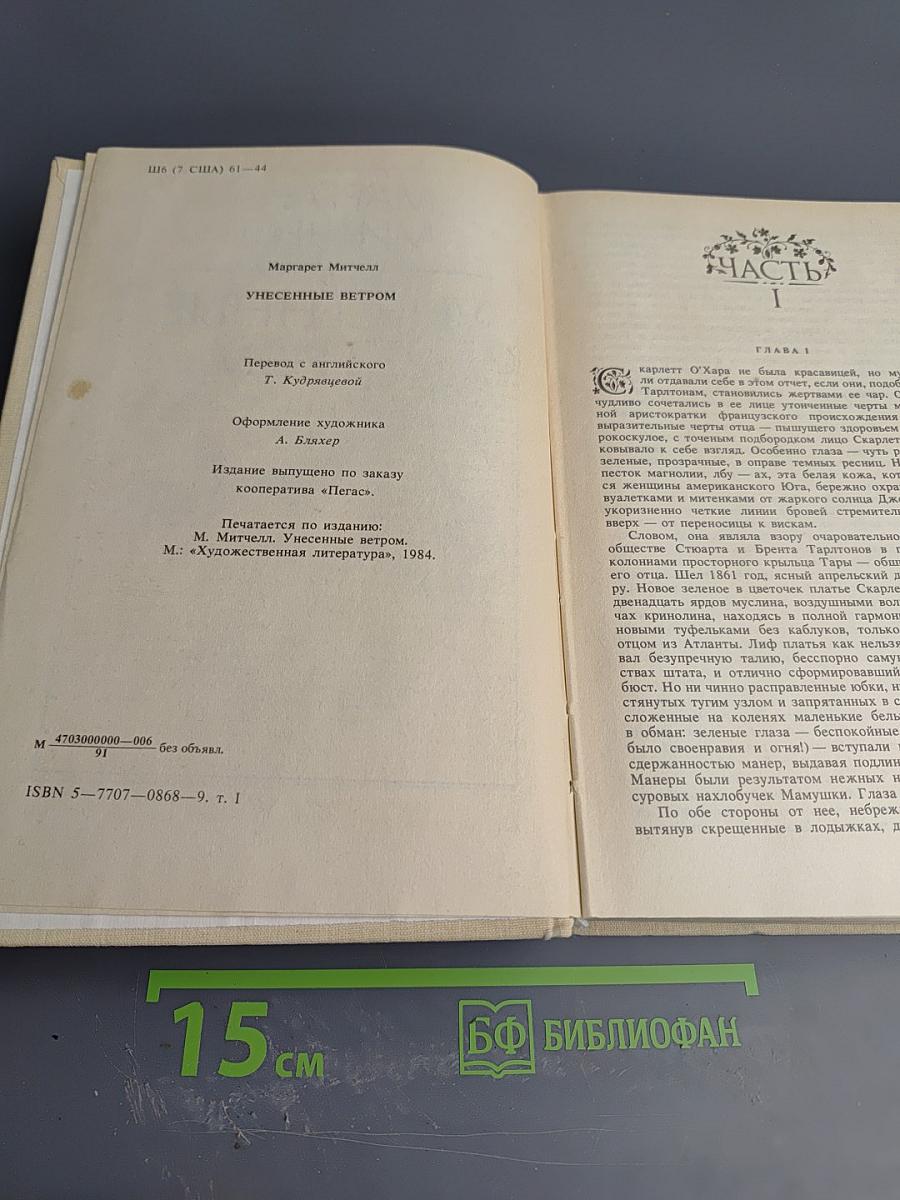 Унесенные ветром. Том 1