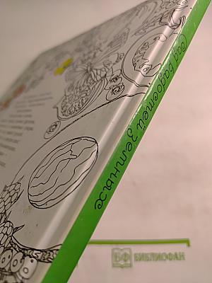 Сад радостей земных