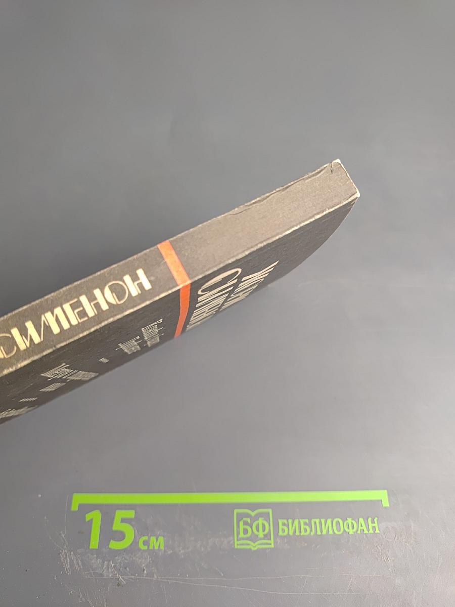 Коновод с баржи 'Провидение', Мегрэ и порядочные люди, Человек, обокравший Мегрэ