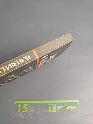 Коновод с баржи 'Провидение', Мегрэ и порядочные люди, Человек, обокравший Мегрэ