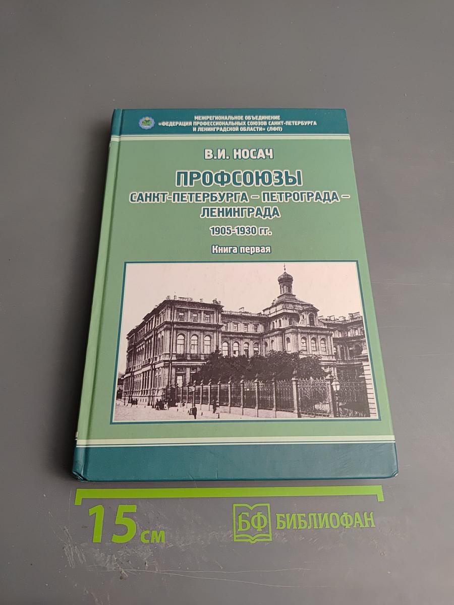 Профсоюзы Санкт-Петербурга - Петрограда - Ленинграда 1905-1930 гг. Книга первая