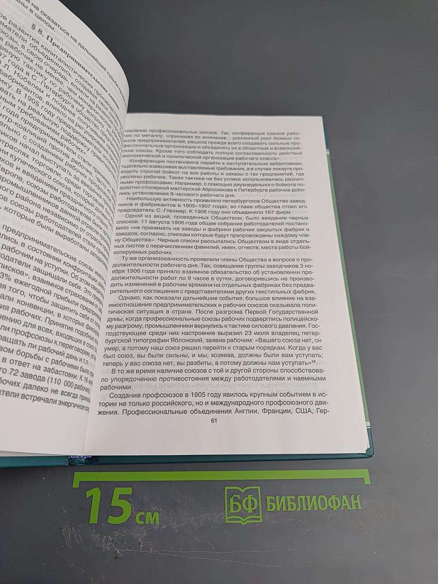 Профсоюзы Санкт-Петербурга - Петрограда - Ленинграда 1905-1930 гг. Книга первая