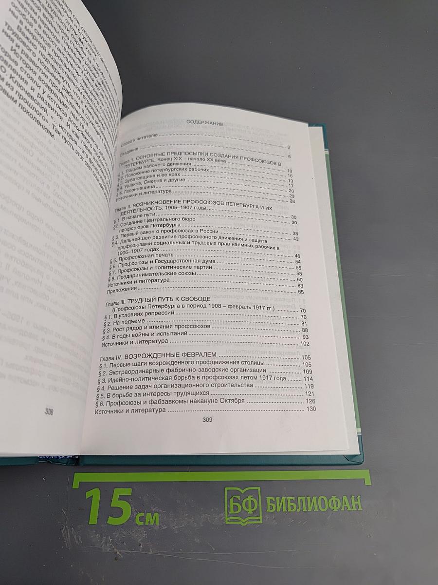 Профсоюзы Санкт-Петербурга - Петрограда - Ленинграда 1905-1930 гг. Книга первая