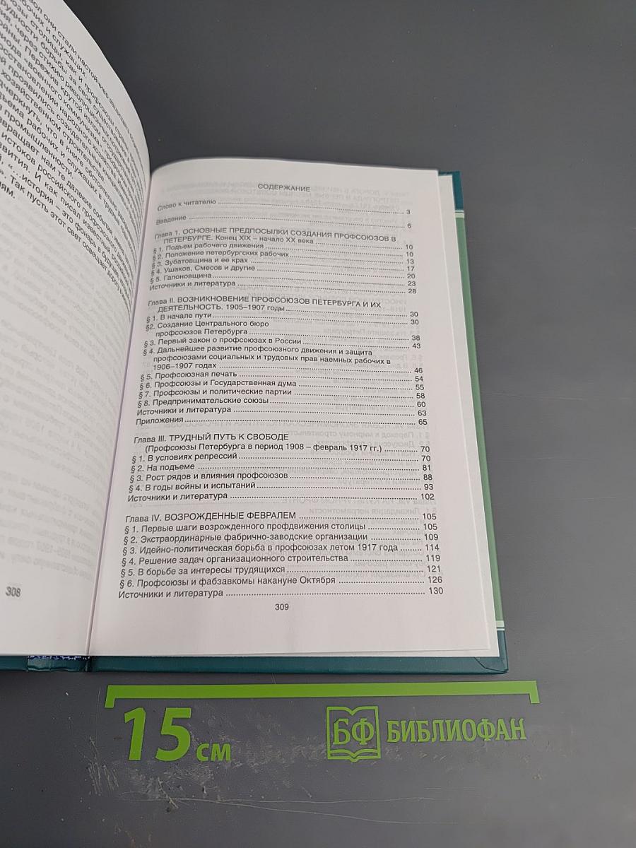 Профсоюзы Санкт-Петербурга - Петрограда - Ленинграда 1905-1930 гг. Книга первая