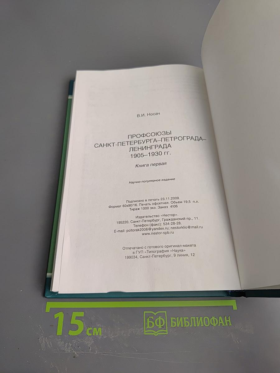 Профсоюзы Санкт-Петербурга - Петрограда - Ленинграда 1905-1930 гг. Книга первая