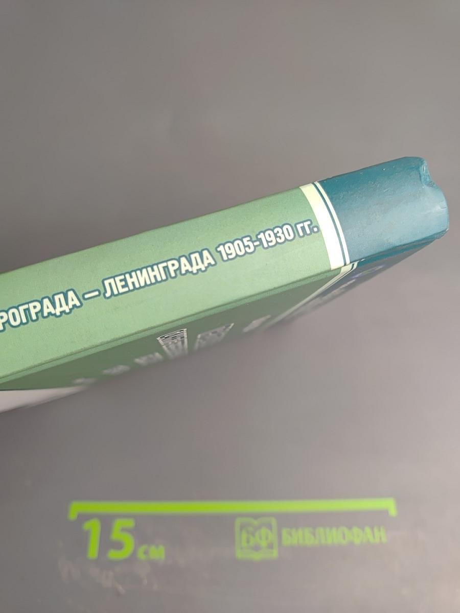 Профсоюзы Санкт-Петербурга - Петрограда - Ленинграда 1905-1930 гг. Книга первая