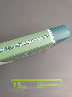 Профсоюзы Санкт-Петербурга - Петрограда - Ленинграда 1905-1930 гг. Книга первая