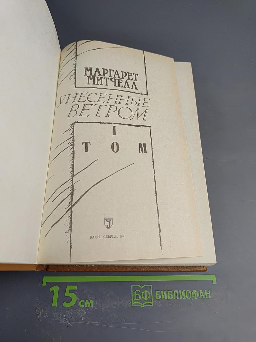 Унесенные ветром. Том 1