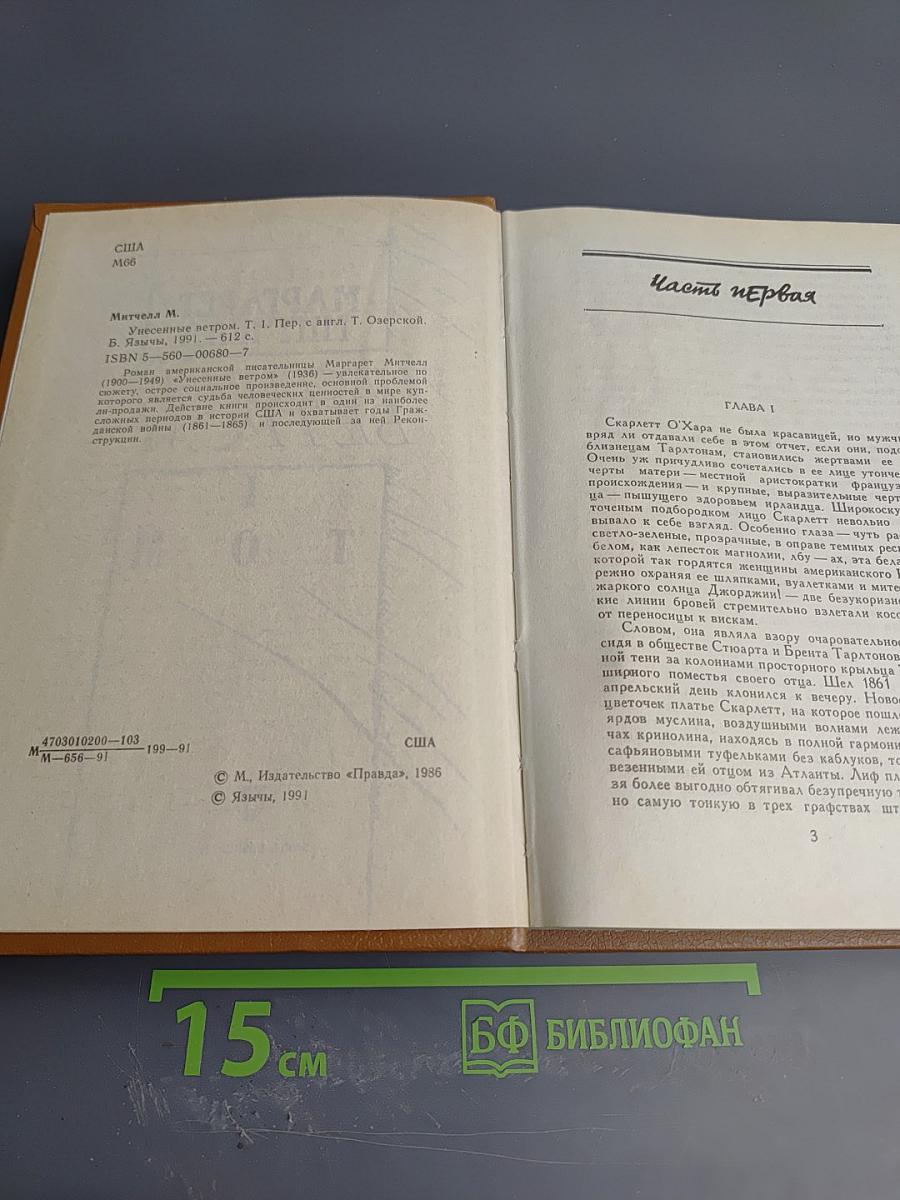 Унесенные ветром. Том 1