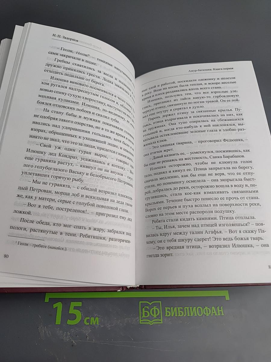 Амур-Батюшка. Книга первая