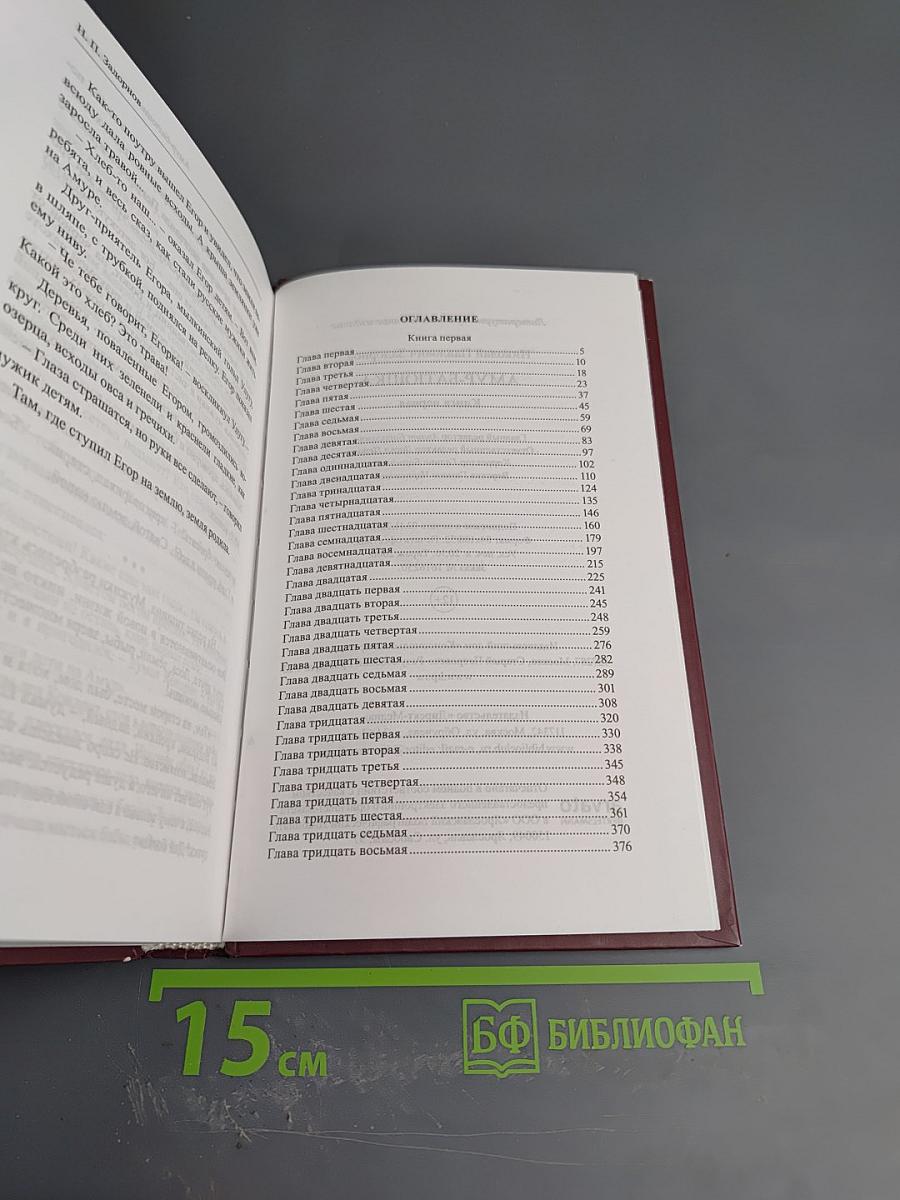 Амур-Батюшка. Книга первая