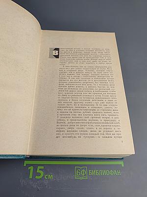 Эхо Войны: Повести и романы