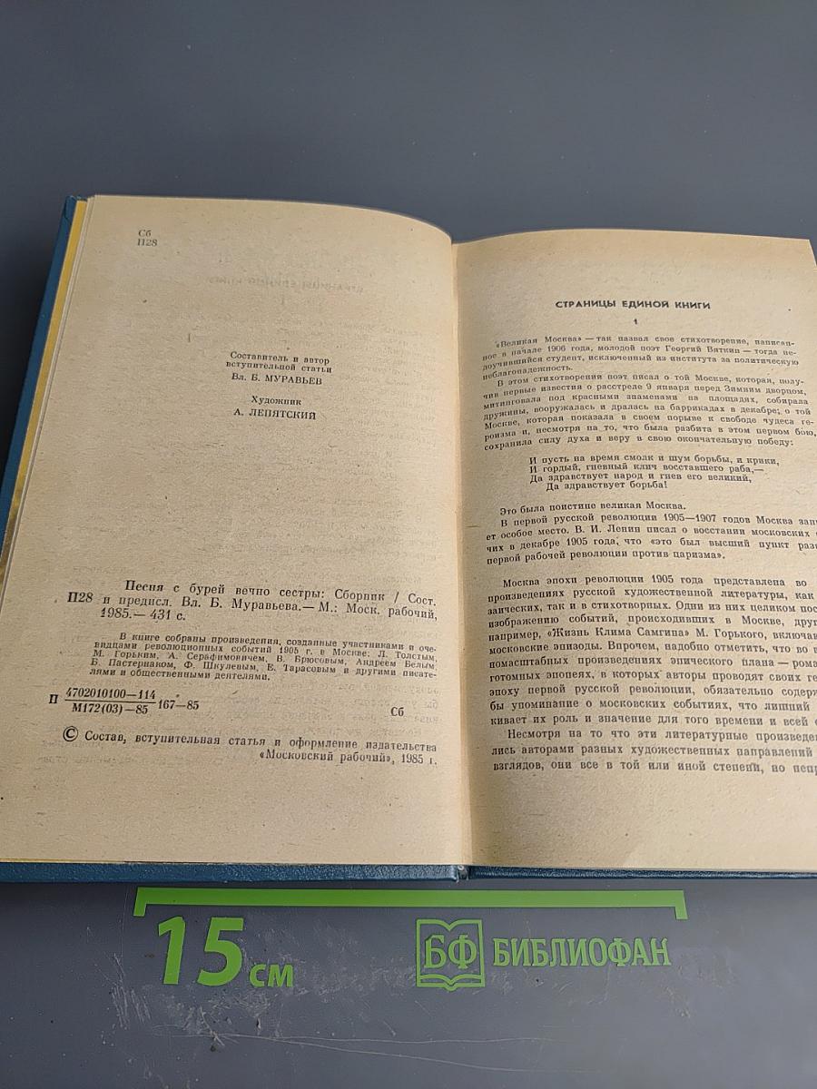 Песня с бурей вечно сестры