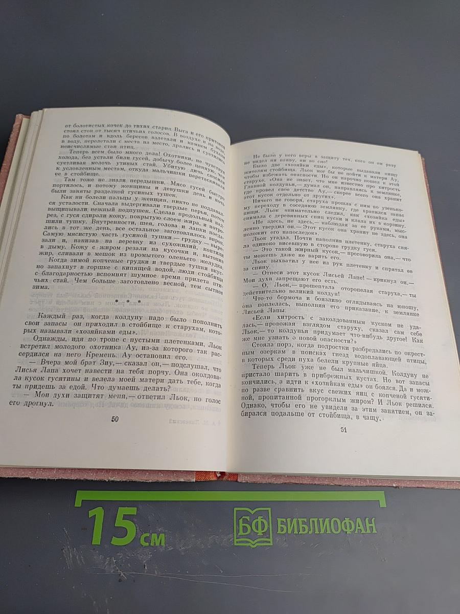 Листы каменной книги