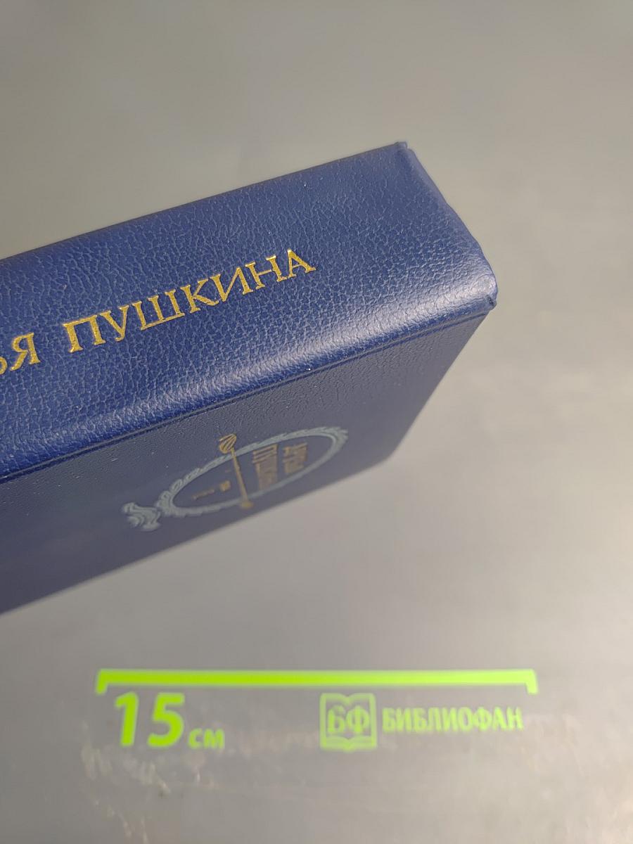 Друзья Пушкина Том 1